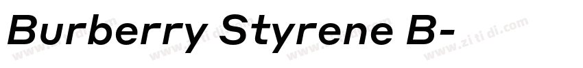 Burberry Styrene B字体转换